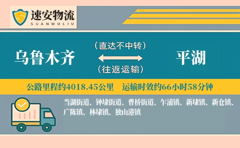 乌鲁木齐到平湖货运公司
