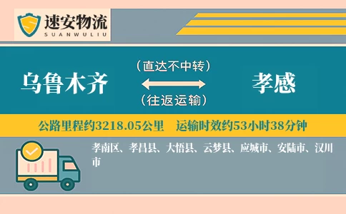 乌鲁木齐到孝感货运公司